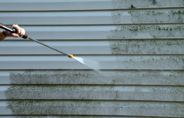 Best Deck Pressure Washing  in Kenova, WV